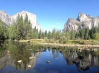 【Yosemite National Park／ヨセミテ国立公園】