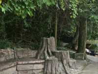 อุทยานแห่งชาติน้ำตกเจ็ดสาวน้อย จ.สระบุรี