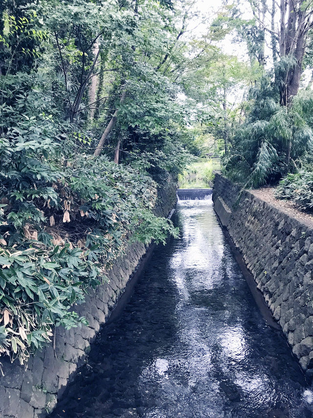 【入場無料の世田谷区立岡本公園民家園と　岩崎家廟堂、静嘉堂文庫財団のクラシカルな建物】