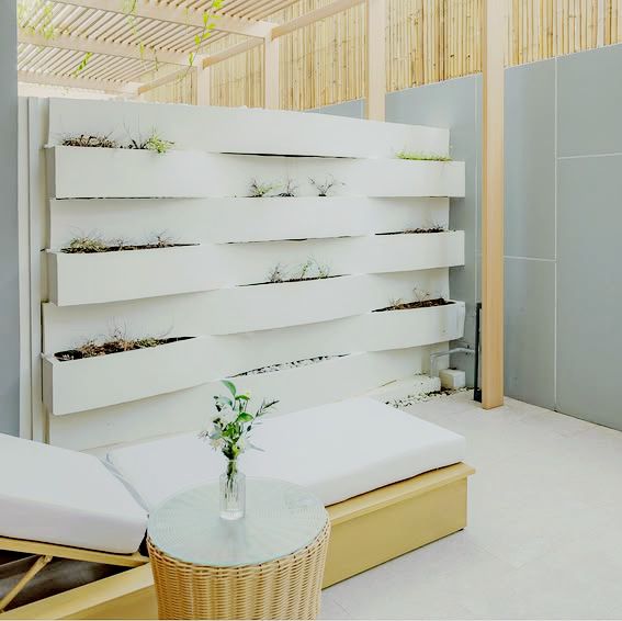 Garden Glow and Urban Ease