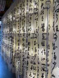 Wander the Waters of beautiful Hongcun