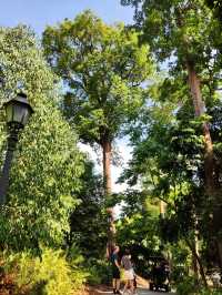 Botanic Garden in Singapore