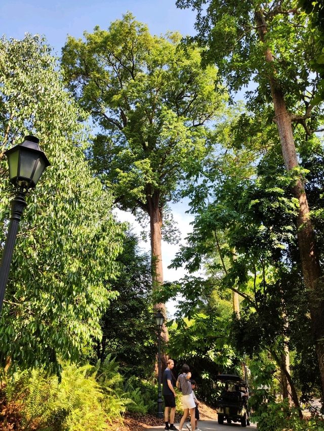 Botanic Garden in Singapore