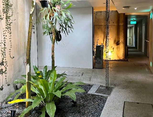 Minimalism, Light & Quiet Moments – A Hidden Gem Stay at Lloyd’s Inn Singapore