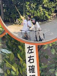 ปั่นจักรยาน หมู่บ้าน Bise-Fukugi (Okinawa) 🌲🚲🐈