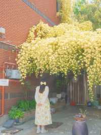피드로도 기록해보는 창원의 노란빛 순간들💛