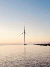 A Unique Blend of Natural Beauty and Modern Windmills