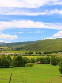 Yuzi West Grassland