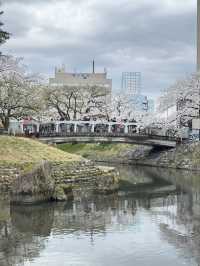 Toyama เมืองที่ห้อมล้อมด้วยภูเขา!