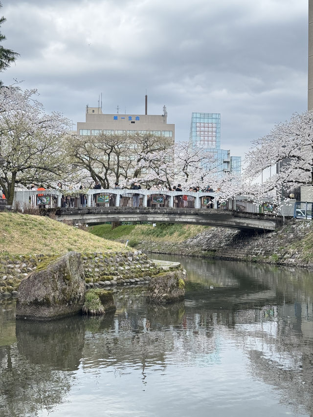 Toyama เมืองที่ห้อมล้อมด้วยภูเขา!
