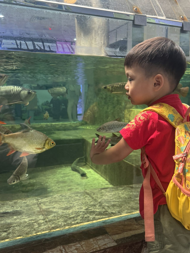 🌊 [Trip Moment] Batu Maung Aquarium: A Mini Marine Adventure in Penang