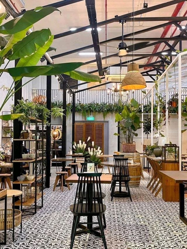 Knots Café & Living