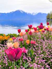 🇨🇭Montreux | A Fairytale Spring by Lake Geneva 