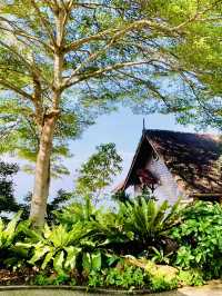 Villa De Fedelia: Where Serenity Finds You 
