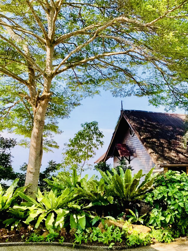 Villa De Fedelia: Where Serenity Finds You 
