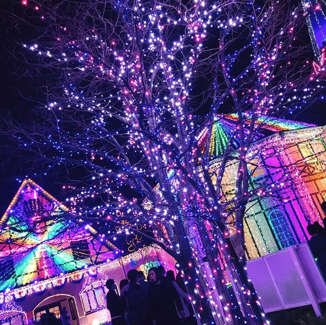 東京ドイツ村