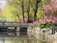 A Tranquil Retreat with Literary and Historical Significance