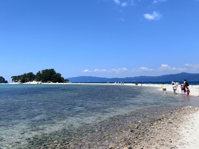 🏨🌊 Amazing Stay in Tsuruga + Discovering the Untouched Mizushima Island 🌴🚗