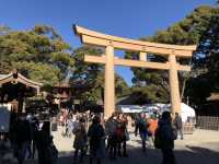 在城市森林中尋求心靈平靜：東京明治神宮遊記