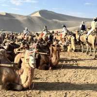  A Perfect Day in Dunhuang — Desert, Art, and Night Vibes