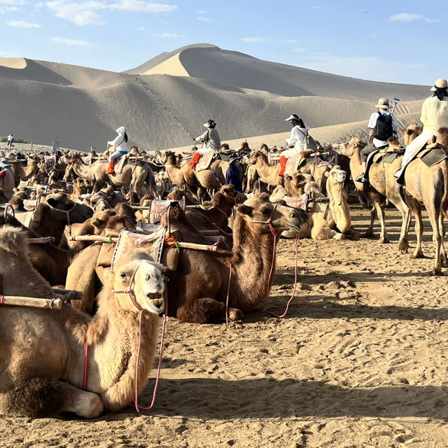  A Perfect Day in Dunhuang — Desert, Art, and Night Vibes