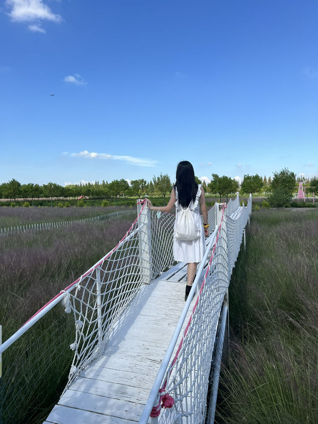 Jiabei Country Park Travel Guide｜A Floral & Countryside Escape Near Shanghai