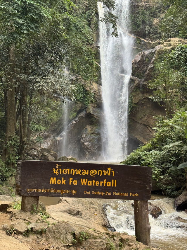 น้ำตกหมอกฟ้า จ.เชียงใหม่ 🌳🌧️🪨💦 น้ำตกหมอกฟ้า จ.เชียงใหม่ 🌳🌧️🪨💦