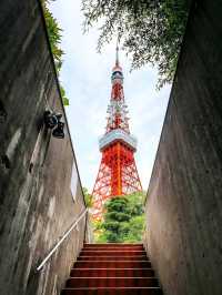 Stunning Sights of Tokyo Tower