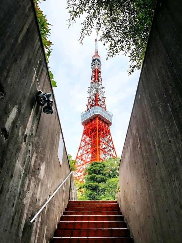 Stunning Sights of Tokyo Tower