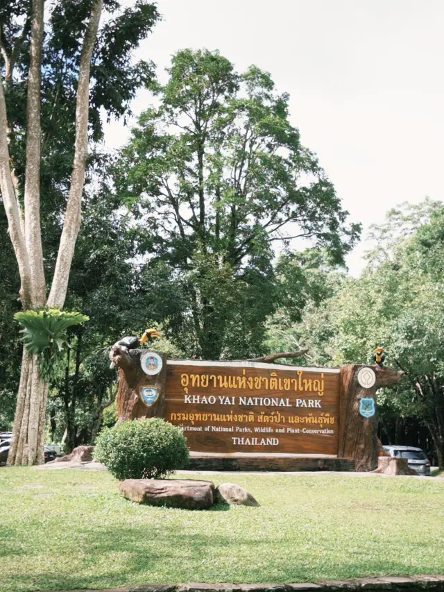 🌲🏞️ เขาใหญ่ — สวรรค์สีเขียวใกล้กรุง