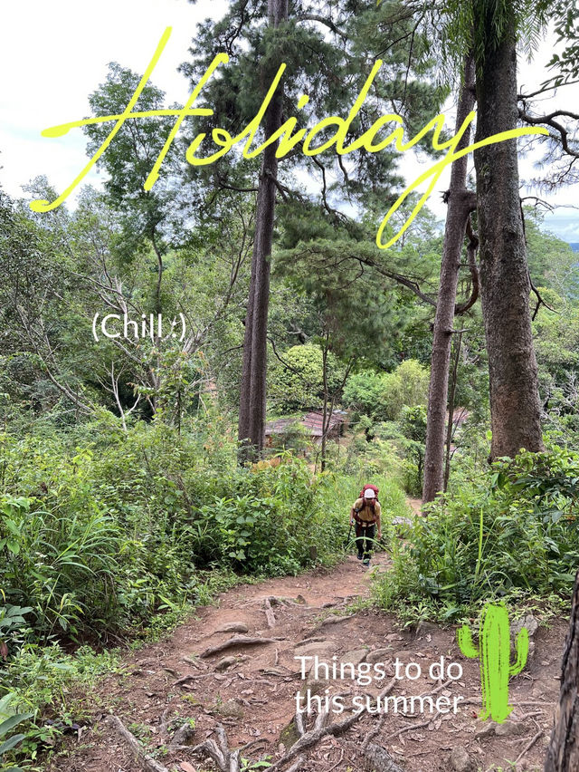 ลานกางเต็นท์ ย.2 ดอยขุนตาล ลานกางเต็นท์ ย.2 ดอยขุนตาล