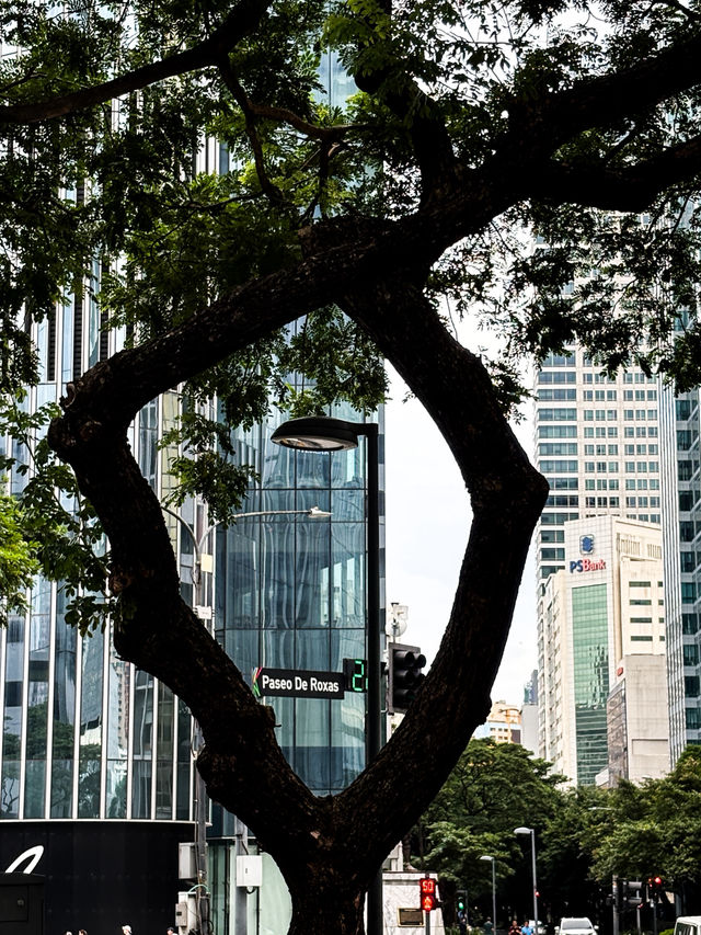 🇵🇭菲律賓馬尼拉馬卡蒂Makati
