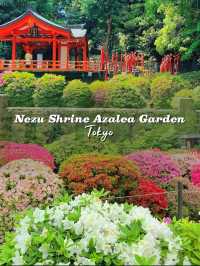 A Burst of Color at Nezu Shrine Azalea Garden