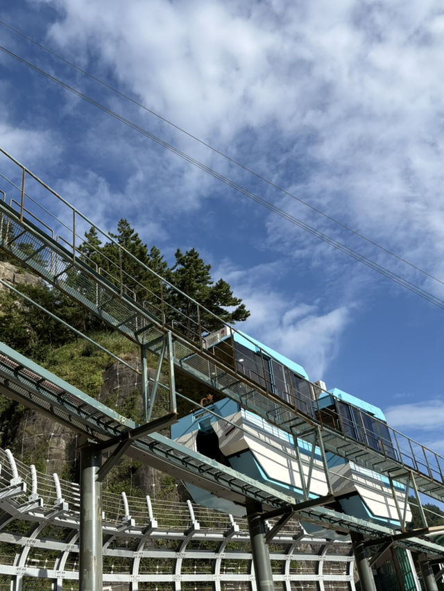 울릉도 모노레일🚊🩵