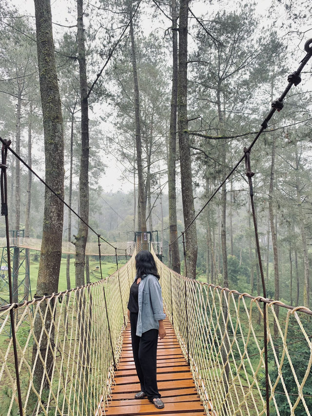A Thrilling Sensation Crossing the Wood Bridge in Orchid Forest Cikole