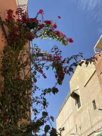The Red City: The Medina of Marrakech