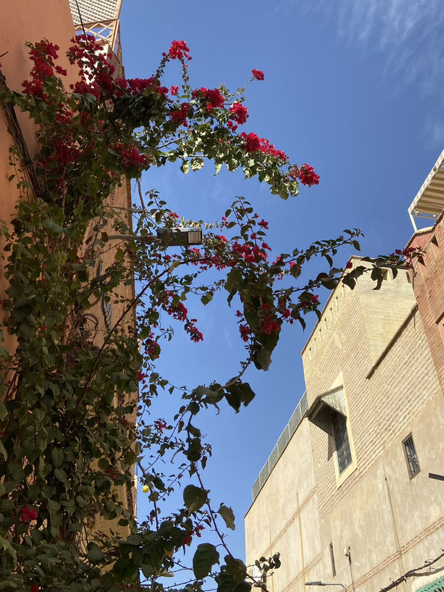 The Red City: The Medina of Marrakech