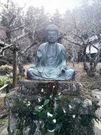 🌸雪解け間近の北鎌倉で、東慶寺の春を呼ぶ梅巡り ＆ まろやか甘酒でほっこり