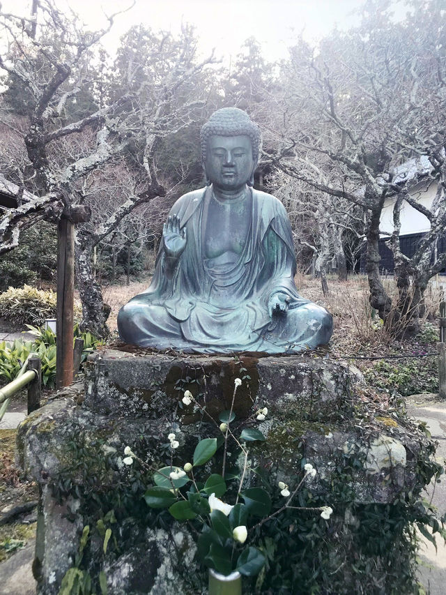🌸雪解け間近の北鎌倉で、東慶寺の春を呼ぶ梅巡り ＆ まろやか甘酒でほっこり