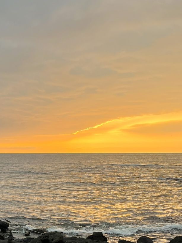 🌅 거제도에서 맞이한 황금빛 일출과 싱싱한 물회