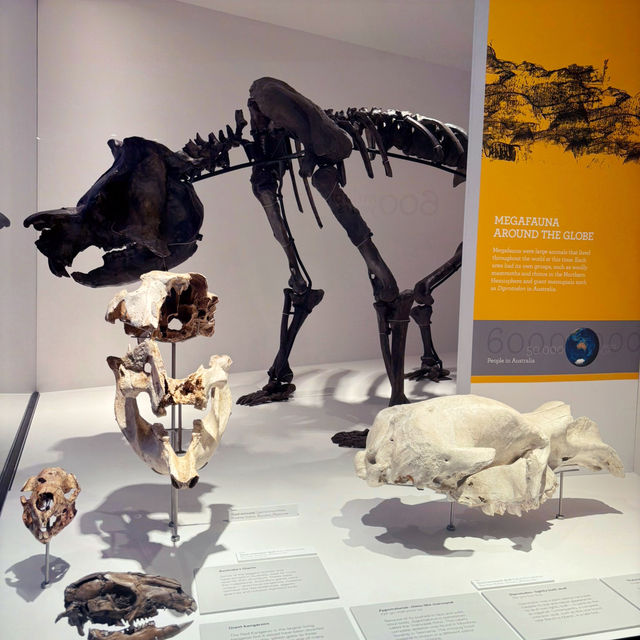子供が理科好きになる❣️メルボルン博物館で出会う生命と文化の旅