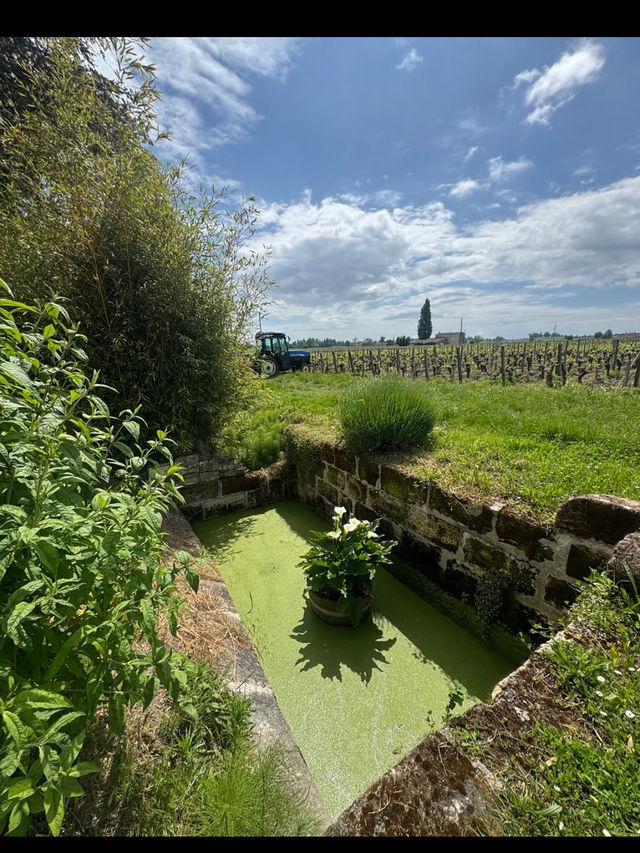 【世界屈指のワインの旅🍷ボルドーのワイン街道を巡る】
