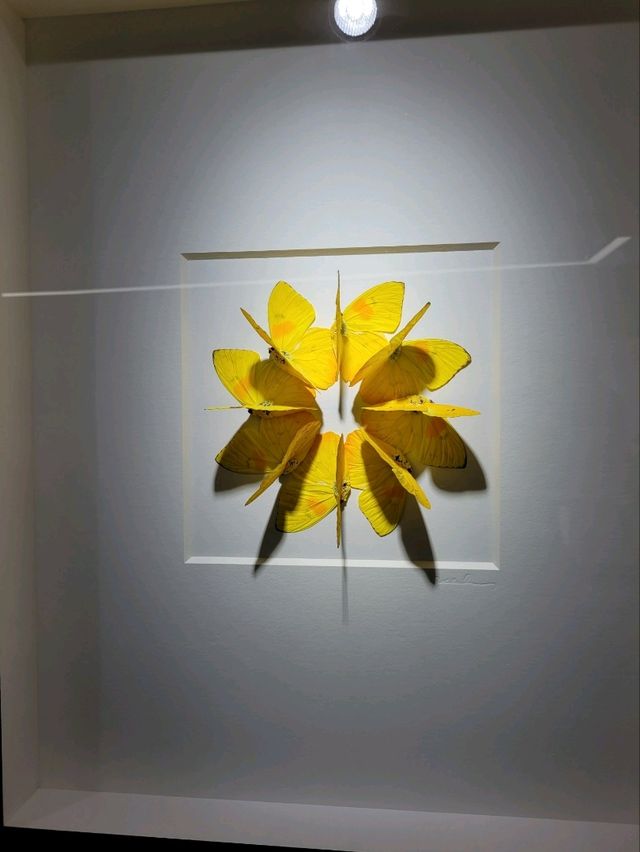 Nature exhibit at Beijing 798 Art District