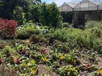 A  Timeless Botanical Wonderland in Greater London