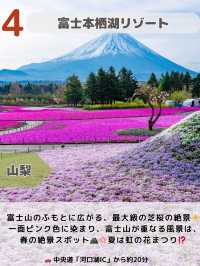 【関東圏】ここガチでよかった😳上半期スポットランキング2025最強6選💪🌿🌸