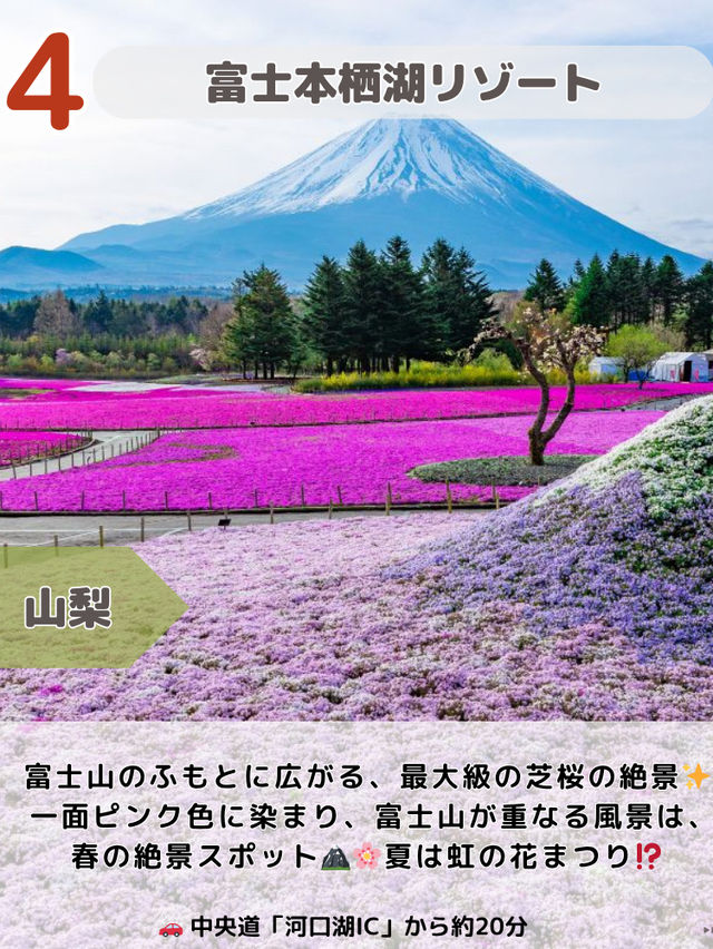 【関東圏】ここガチでよかった😳上半期スポットランキング2025最強6選💪🌿🌸