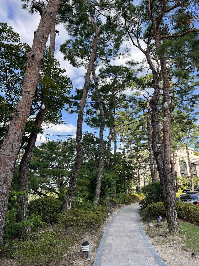 남산뷰 반얀트리 호텔🍁