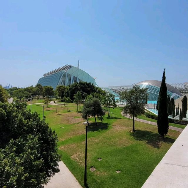 Ciutat de les Arts i les Ciències A Spectacular Modern Landmark in Valencia