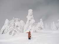 “Winter is coming เส้นทาง Tohoku ที่อบอุ่นหัวใจ”