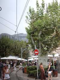 【Mallorca 索列爾 Sóller】橘子小鎮的一日浪漫之旅 🍊🚋✨